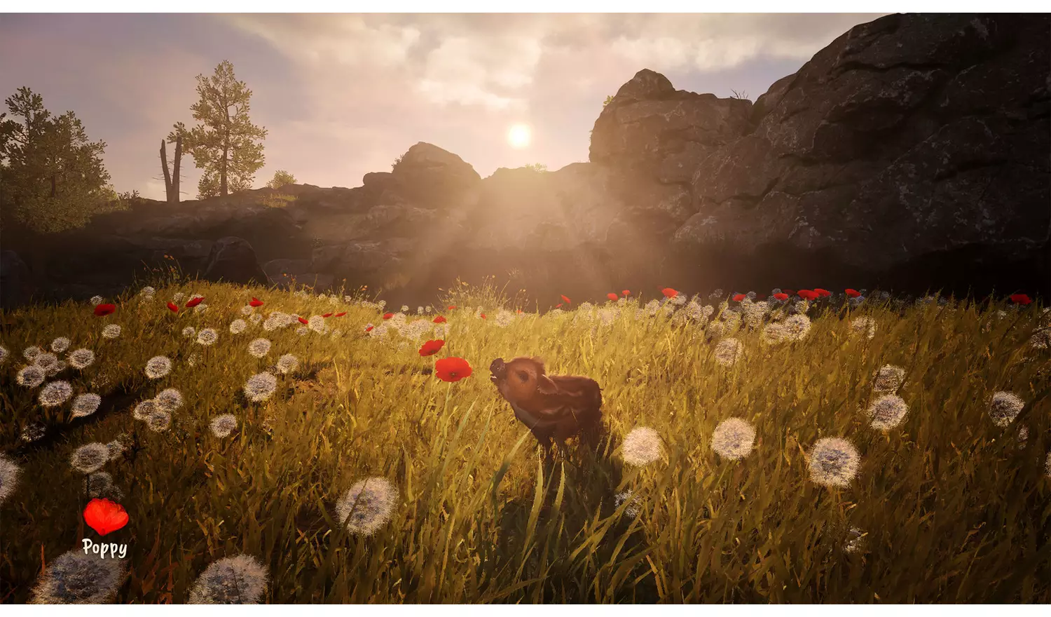Adorable Adventures - PS5