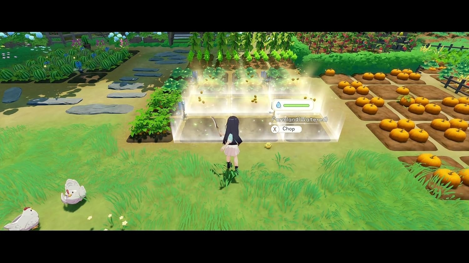 Starsand Island - Nintendo Switch 2