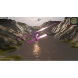 Coastline Flight Simulator - PS5