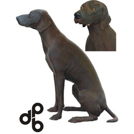 Duitse korthaar bruin met glazen ogen