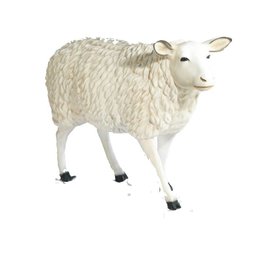 Schaap 135 x 88 cm