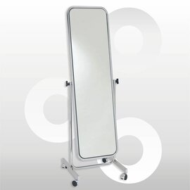 Verrijdbare spiegel in chroom