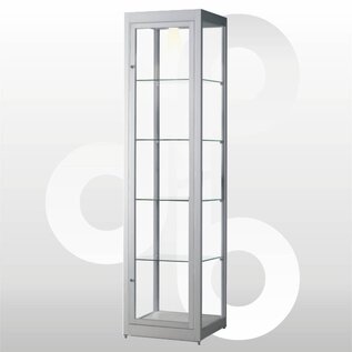 Vitrinekast stofdicht 40x40x200 met verlichting