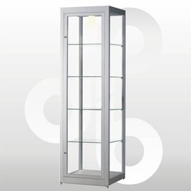 Vitrinekast stofdicht 50x50x200 met verlichting