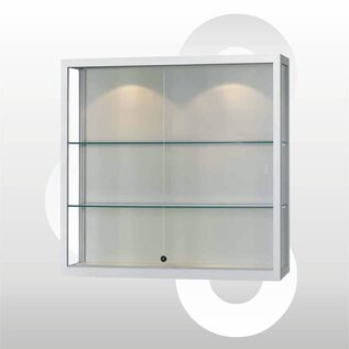 Wandvitrine 100x30x100 Geanodiseerd aluminium haaks profiel
