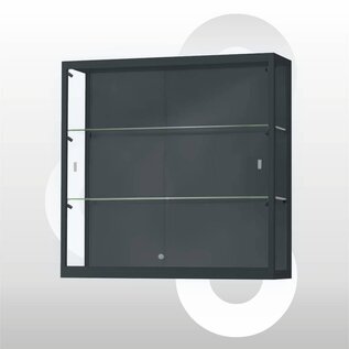Wandvitrine 100x30x100 Geanodiseerd zwart haaks profiel