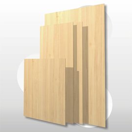 Achterwand 204 x 100 cm x 3 mm