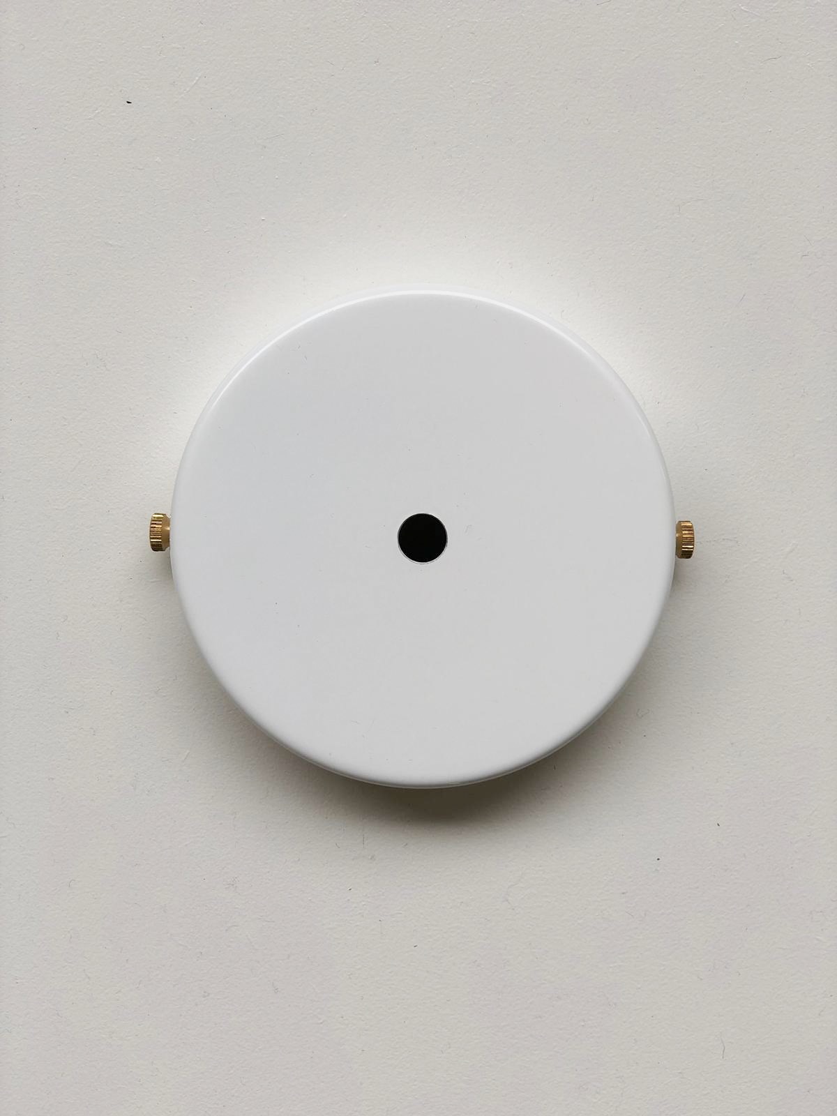 Steel Ceiling Rose White With Brass Cable Grip