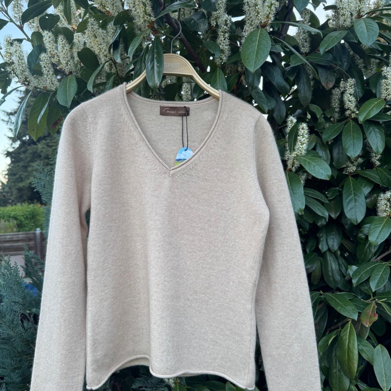 Odno - Pullover aus Kaschmir - Wollweiß