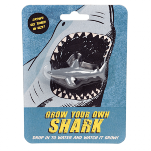 Rex London Grow your own Shark