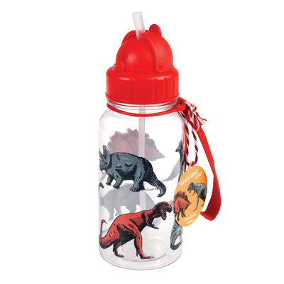 Rex London Kids Water Bottle Prehistoric Land