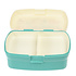 Rex London Lunchbox with tray Wild Wonders