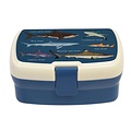 Rex London Lunchbox mit Fach Sharks