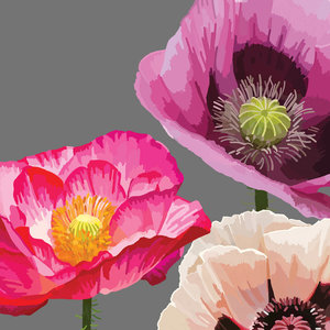 Paperproducts Design Paper Napkins Fabulous Poppies