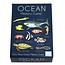 Memory Spiel Ocean