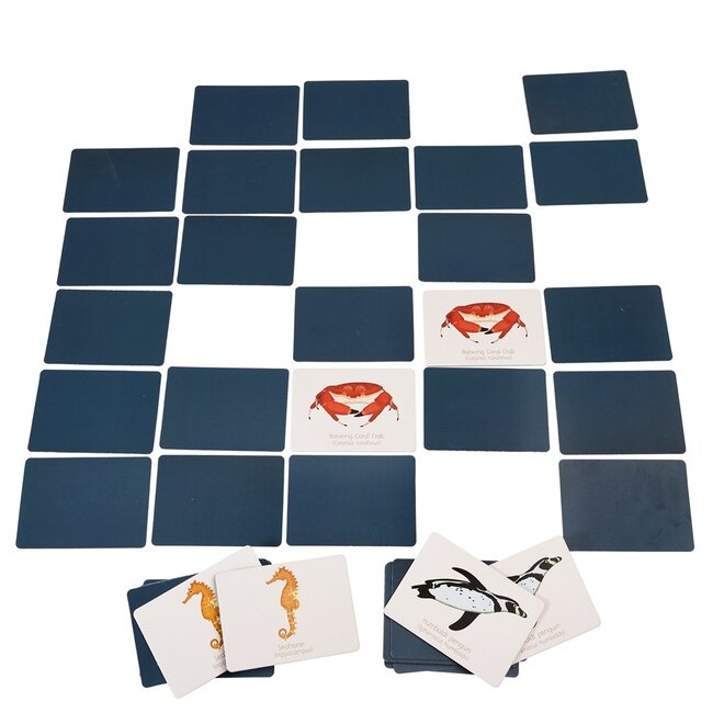 Memory Game Ocean