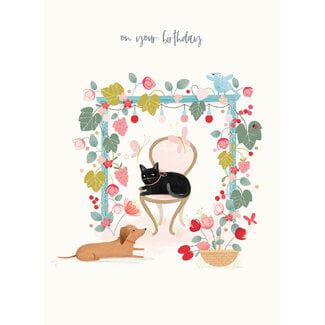 Otter House Karte Olive & Wilma Pergola