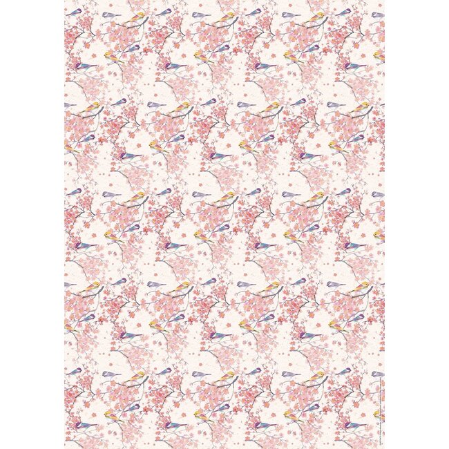Geschenkpapier & Anhänger Blossom & Birds