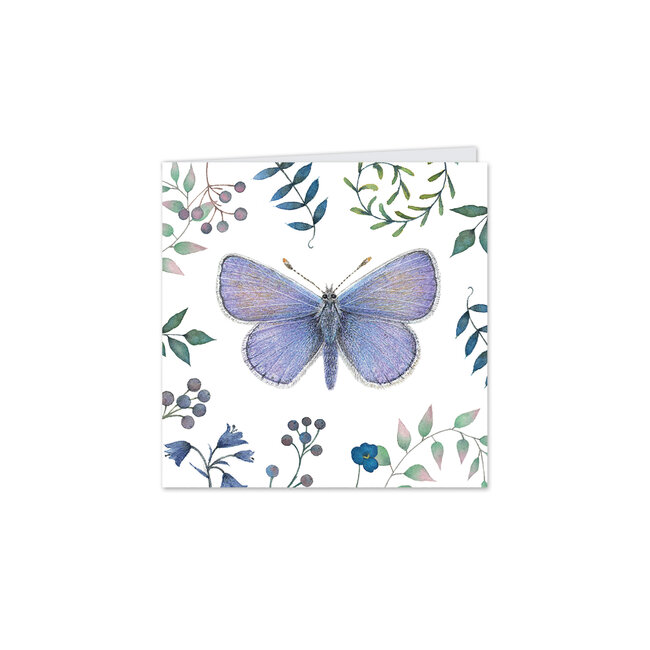 Notecard Pack Square Vintage Garden Butterflies