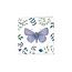 Notecard Pack Square Vintage Garden Butterflies