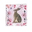 Notecard Pack Square Flowers & Wildlife