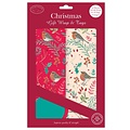 Otter House Cristmas Wrap & Tags Wintery Robins (double pack)