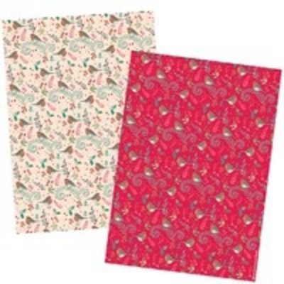 Otter House Cristmas Wrap & Tags Wintery Robins (double pack)