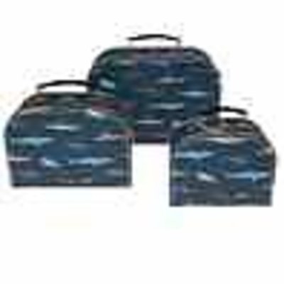 Rex London Cases Set of 3 Sharks