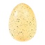 Giant Hatching Egg Fairies in the Garden