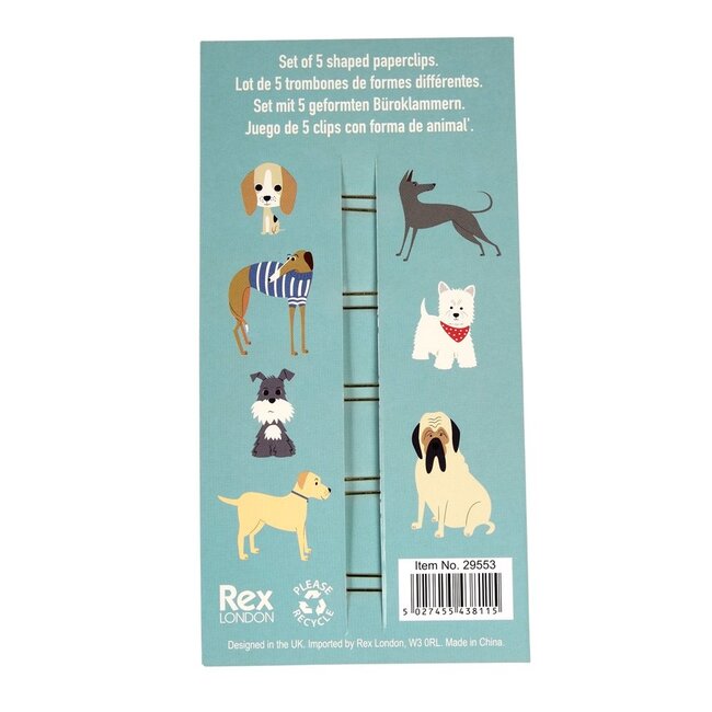 Paper Clips Best in Show