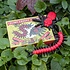 Rex London Box of Slimy Creepy Crawlies