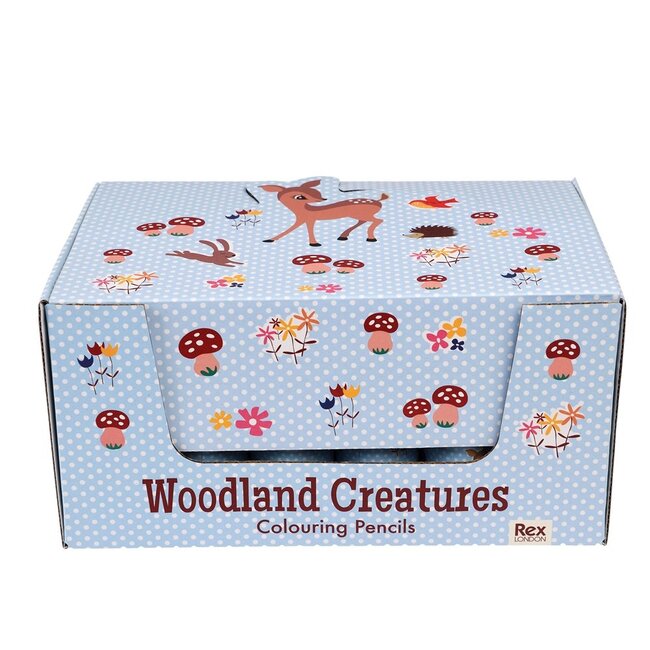 Buntstifte Woodland Set of 12