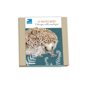 Otter House Notecard Pack Square RSPB Wild Life