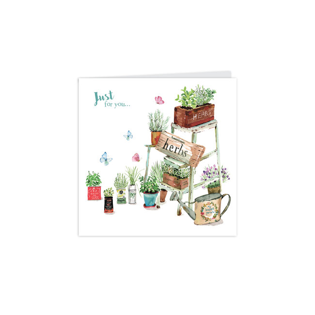Notecard Pack Square Teacups & Herbs