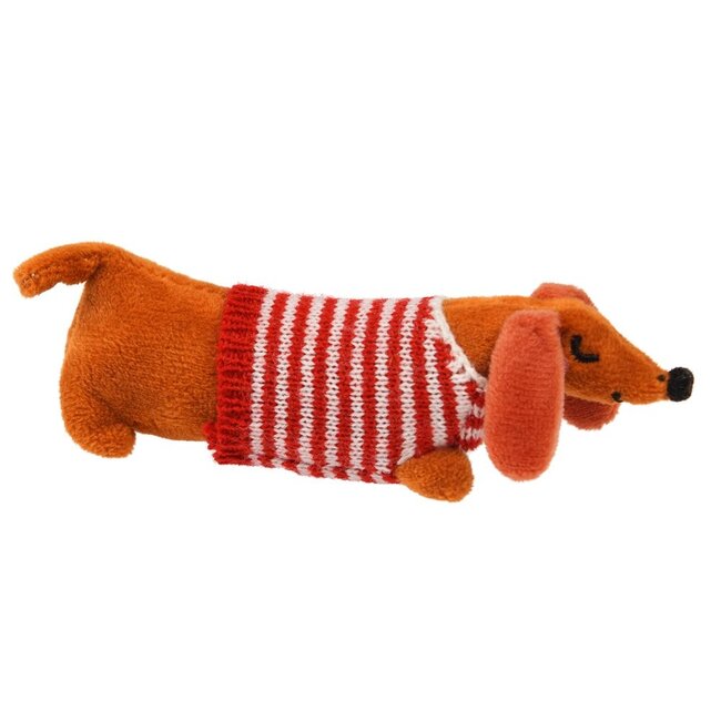 Sausage Dog in a Little Box