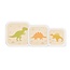 Snack Box Desert Dino Set of 3