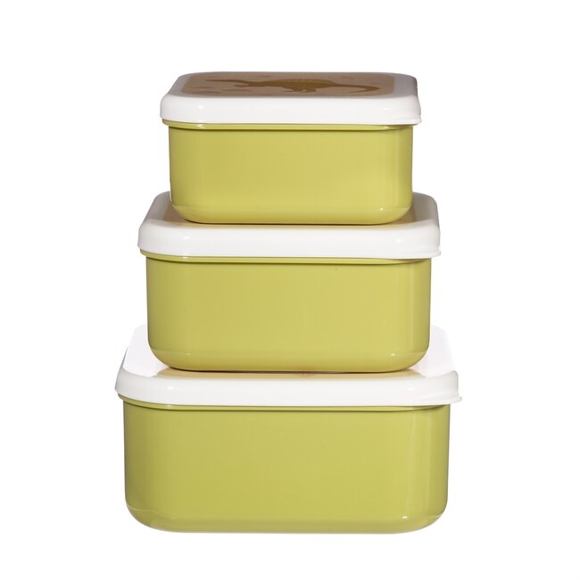 Snack Box Desert Dino Set of 3