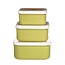 Snack Box Desert Dino Set of 3