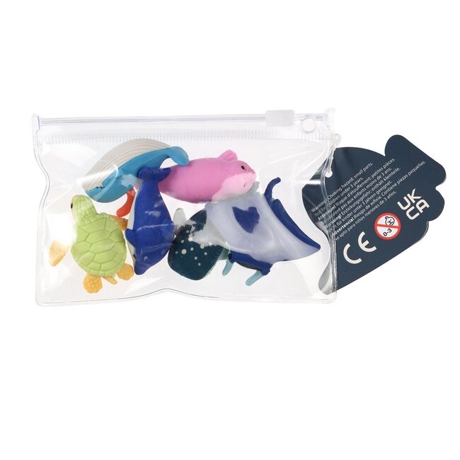 Radiergummis Ocean Set of 6