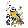 Paperproducts Design Paper Napkins Oiseau en Nature