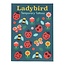 Tattoos Ladybird