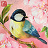 Paperproducts Design Paper Napkins Oiseau en rose