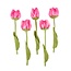 Filzblume Tulp Fey