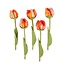 Filzblume Tulp Riva