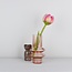 Filzblume Tulp Romy