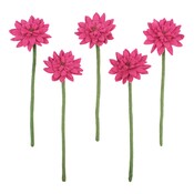 Sjaal met Verhaal Filzblume Gerbera fuchsia