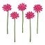 Filzblume Gerbera fuchsia