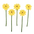 Sjaal met Verhaal Felt Flower Gerbera yellow