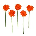 Sjaal met Verhaal Filzblume Gerbera orange