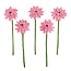 Filzblume Gerbera old pink